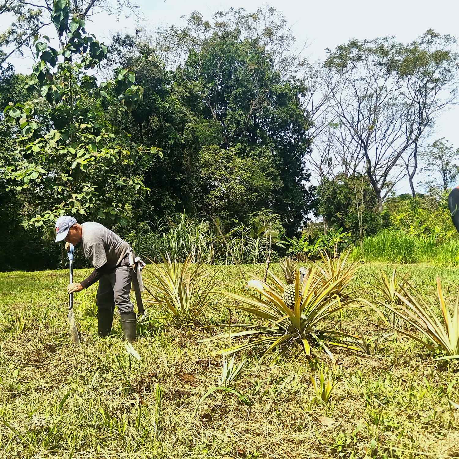 Real food grown with purpose
