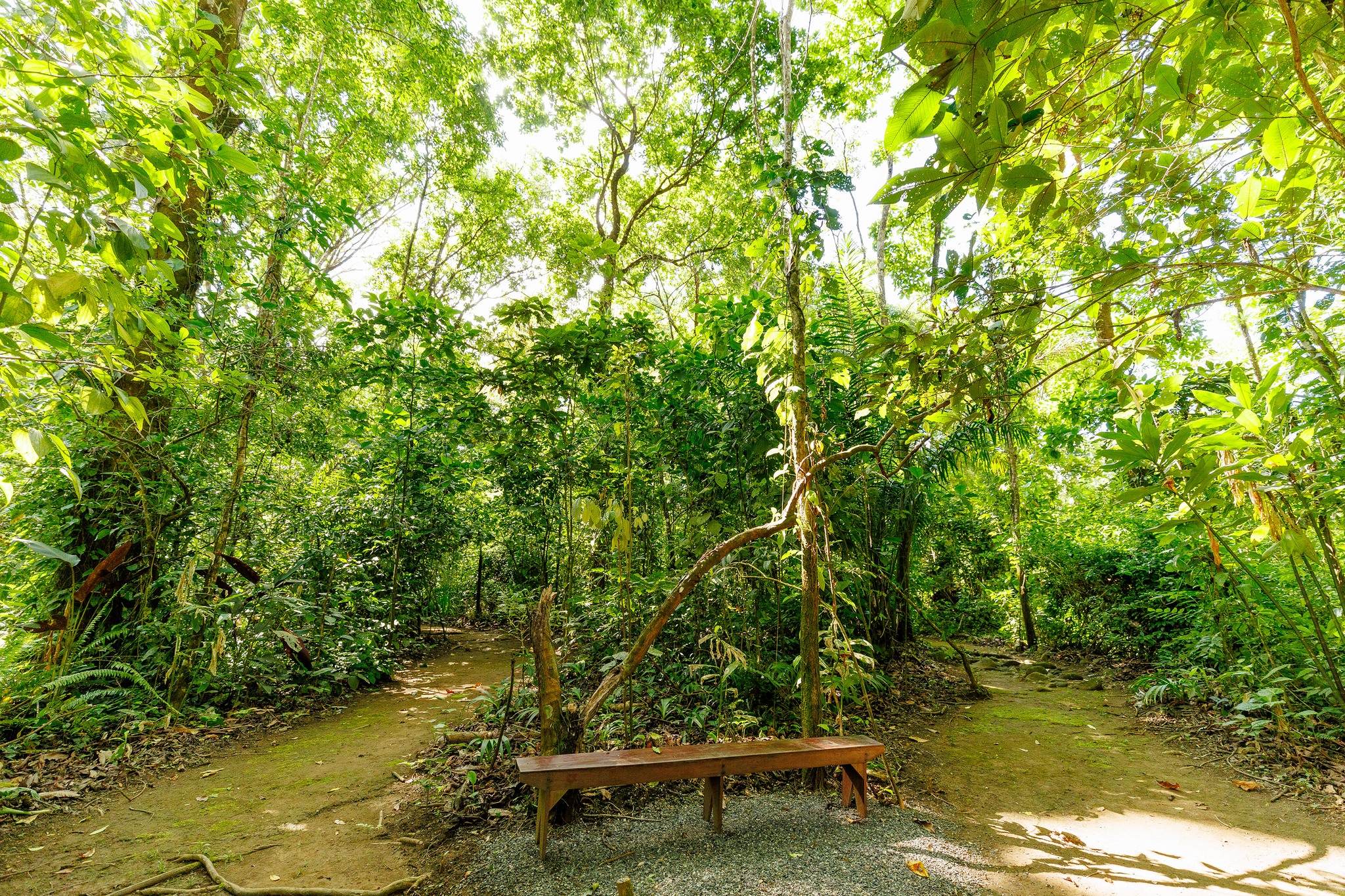 Eco-Adventures & Camping at Finca Planeta Sano