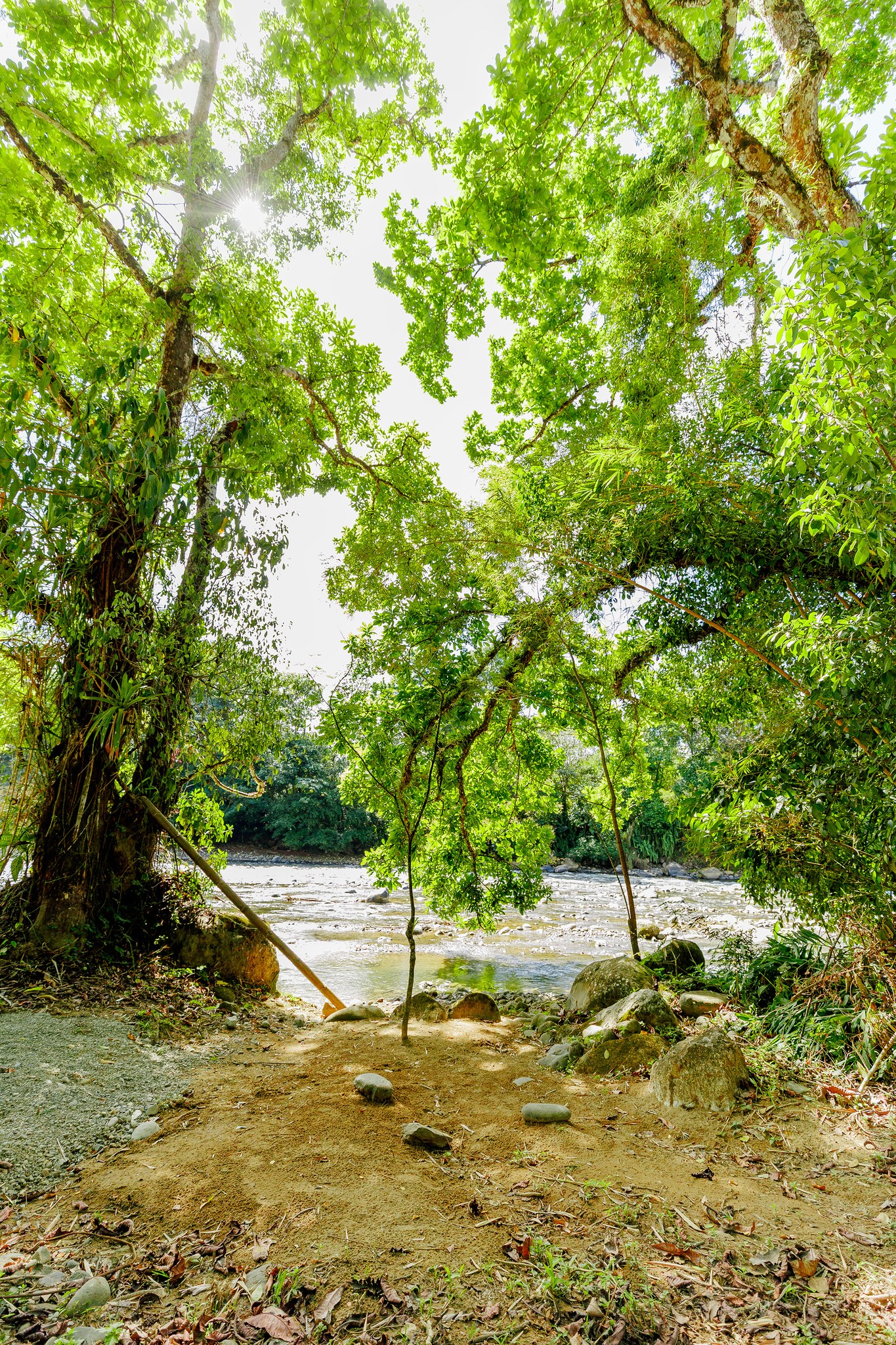 Sustainability: Every activity and project at the finca is designed to protect and regenerate the environment.