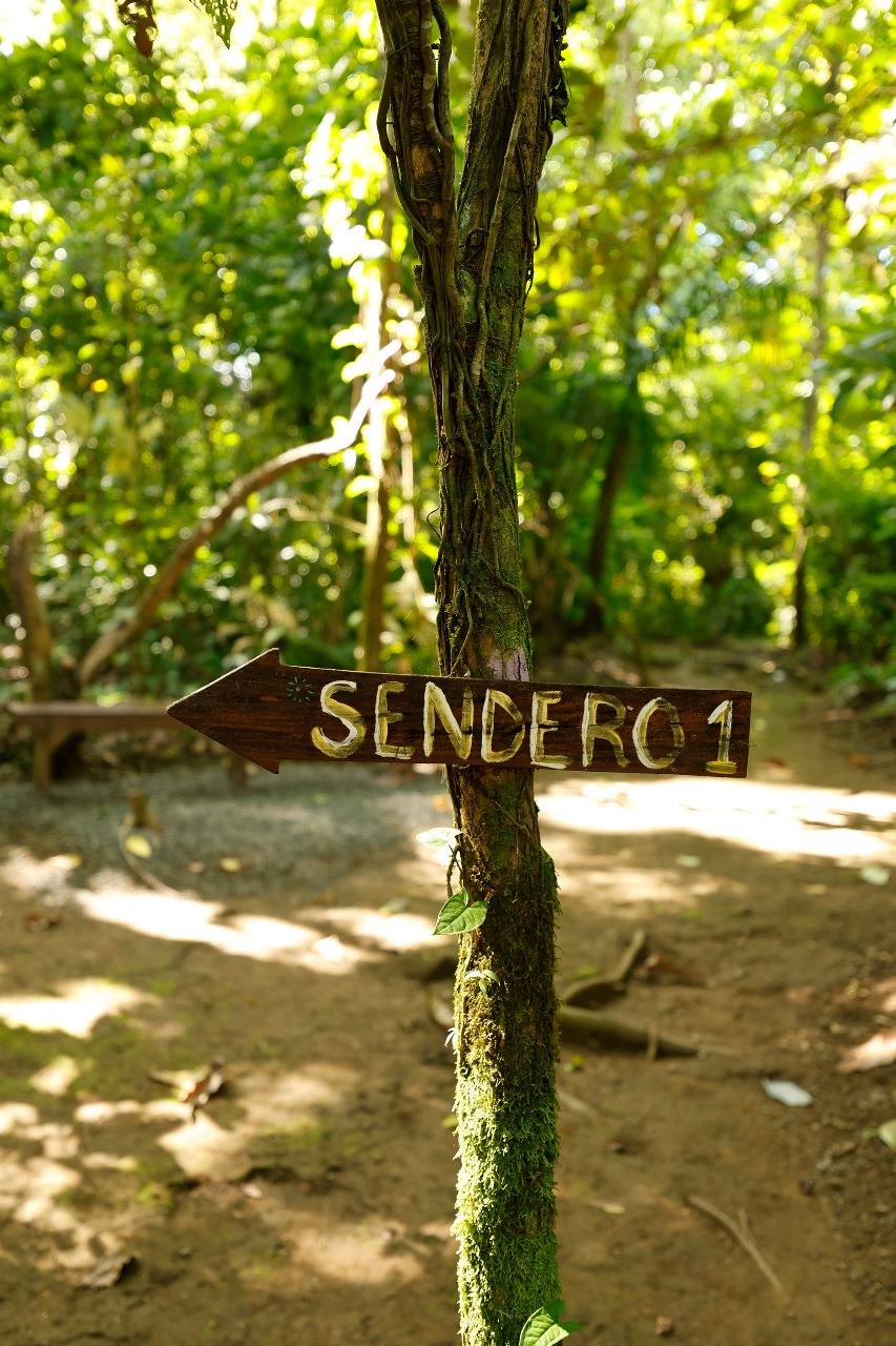 Mindfulness: nature therapy, and eco-tourism combine to promote our overall well-being.