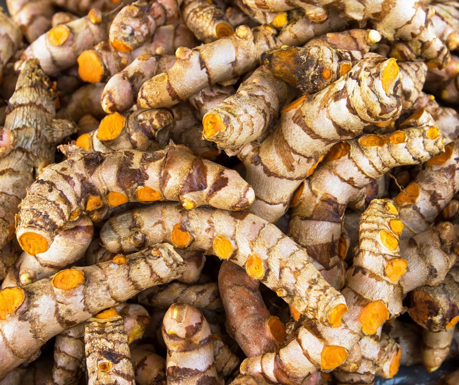 579648741_1461485109110984_4060094562633459090_n